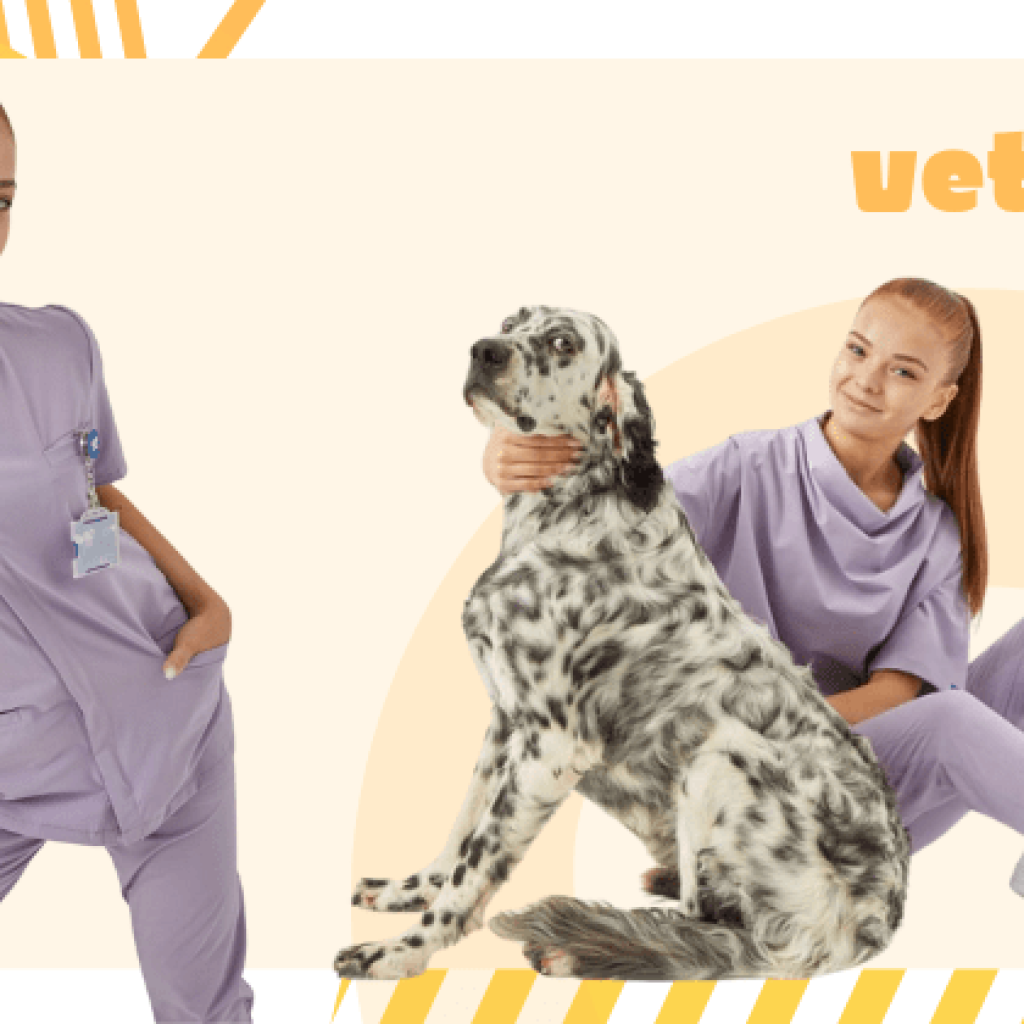 banner-divise-veterinari-online